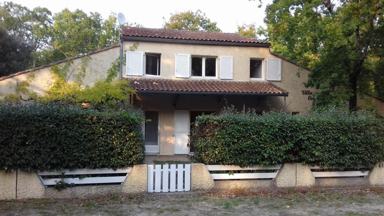 Appartement Soulac Sur Mer A 500 M De La Plage N 5 Exteriér fotografie